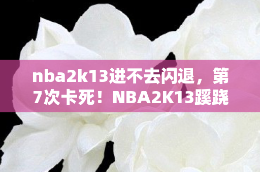 NBA2K13蹊跷崩溃背后图片