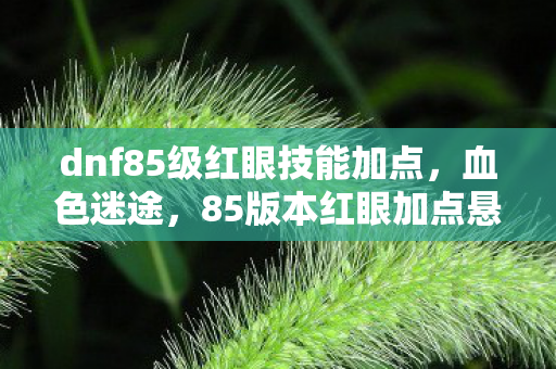 dnf85级红眼技能加点图片
