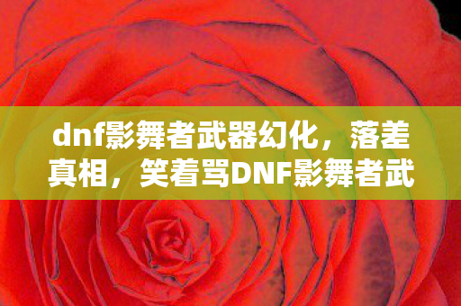 笑着骂DNF影舞者武器坑图片