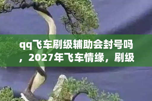 qq飞车刷级辅助会封号吗图片