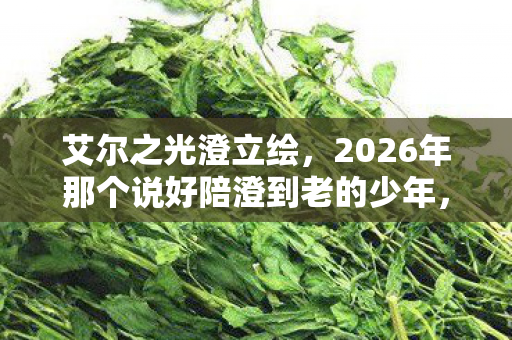 2026年那个说好陪澄到老的少年图片