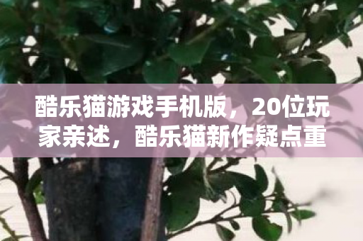 酷乐猫游戏手机版,20位玩家亲述,酷乐猫新作疑点重重,这操作谁能绷得住啊? 酷乐猫游戏手机版,20位玩家亲述,酷乐猫新作疑点重重,这操作谁能绷得住啊?