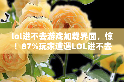 lol进不去游戏加载界面图片