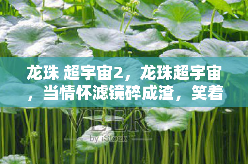 龙珠 超宇宙2，龙珠超宇宙，当情怀滤镜碎成渣，笑着骂完才发现真相是笑着哭