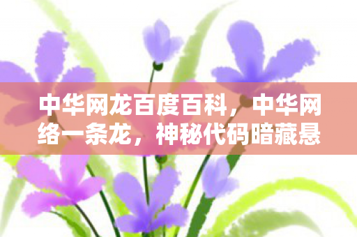 中华网龙百度百科图片