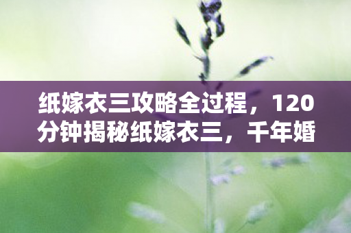 120分钟揭秘纸嫁衣三图片