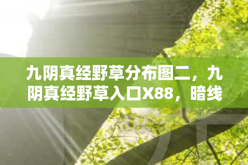九阴真经野草入口X88图片