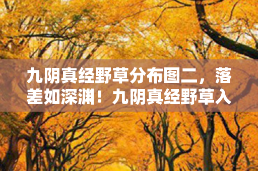 九阴真经野草入口X88真相揭晓图片