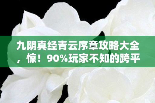 九阴真经青云序章攻略大全,惊!90%玩家不知的跨平台操控差异,青云序章竟藏着这秘密 九阴真经青云序章攻略大全,惊!90%玩家不知的跨平台操控差异,青云序章竟藏着这秘密
