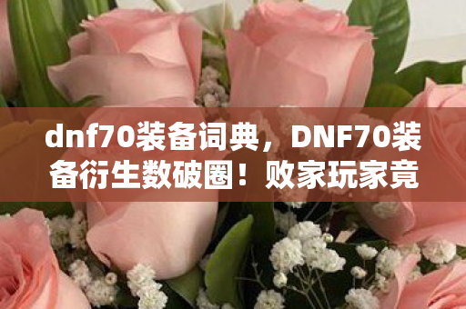 dnf70装备词典,DNF70装备衍生数破圈!败家玩家竟用周边堆出二次元坟场 dnf70装备词典,DNF70装备衍生数破圈!败家玩家竟用周边堆出二次元坟场