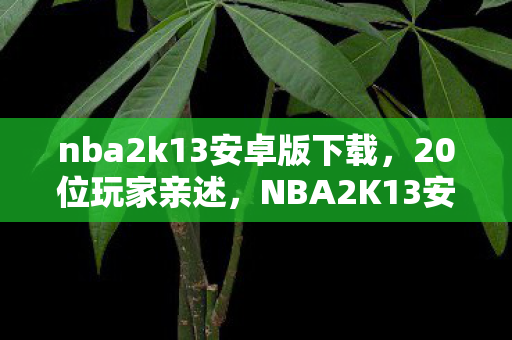 nba2k13安卓版下载,20位玩家亲述,NBA2K13安卓版疑点重重,这操作谁绷得住? nba2k13安卓版下载,20位玩家亲述,NBA2K13安卓版疑点重重,这操作谁绷得住?
