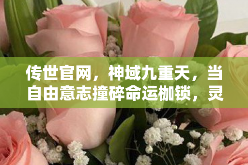 传世官网，神域九重天，当自由意志撞碎命运枷锁，灵魂震颤的终极悖论