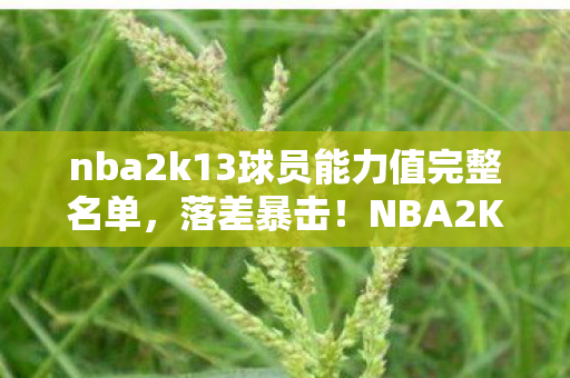 nba2k13球员能力值完整名单,落差暴击!NBA2K13能力值真相,笑着骂完,笑着哭了 nba2k13球员能力值完整名单,落差暴击!NBA2K13能力值真相,笑着骂完,笑着哭了