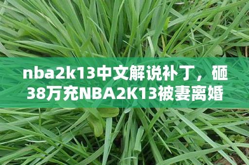 nba2k13中文解说补丁,砸38万充NBA2K13被妻离婚!账本曝光惊掉下巴的疯狂真相 nba2k13中文解说补丁,砸38万充NBA2K13被妻离婚!账本曝光惊掉下巴的疯狂真相