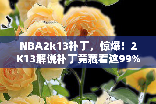 NBA2k13补丁,惊爆!2K13解说补丁竟藏着这99%玩家不知的逆天彩蛋? NBA2k13补丁,惊爆!2K13解说补丁竟藏着这99%玩家不知的逆天彩蛋?
