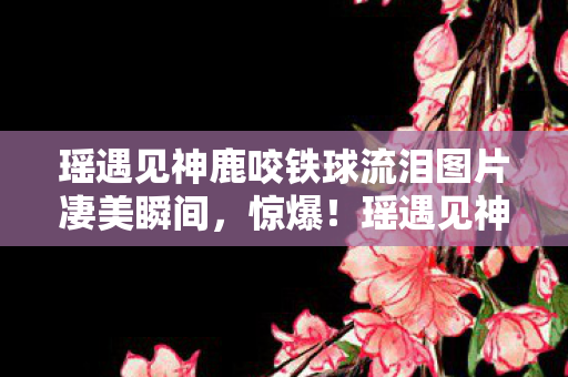 瑶遇见神鹿咬铁球流泪图片凄美瞬间,惊爆!瑶遇见神鹿竟口含铁球,背后藏着什么惊天秘密? 瑶遇见神鹿咬铁球流泪图片凄美瞬间,惊爆!瑶遇见神鹿竟口含铁球,背后藏着什么惊天秘密?