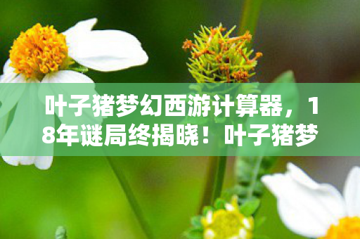 叶子猪梦幻西游计算器,18年谜局终揭晓!叶子猪梦幻西游为何让百万玩家泪目? 叶子猪梦幻西游计算器,18年谜局终揭晓!叶子猪梦幻西游为何让百万玩家泪目?
