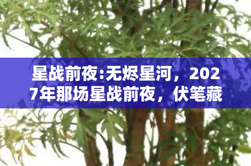 星战前夜:无烬星河,2027年那场星战前夜,伏笔藏了十年,如今想起鼻子一酸 星战前夜:无烬星河,2027年那场星战前夜,伏笔藏了十年,如今想起鼻子一酸