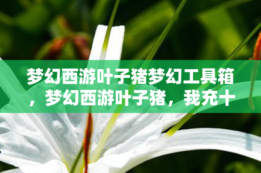 梦幻西游叶子猪梦幻工具箱,梦幻西游叶子猪,我充十万才懂,这隐情让我吓一跳! 梦幻西游叶子猪梦幻工具箱,梦幻西游叶子猪,我充十万才懂,这隐情让我吓一跳!