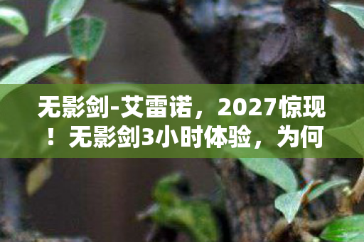 无影剑-艾雷诺,2027惊现!无影剑3小时体验,为何99%人哭着出来? 无影剑-艾雷诺,2027惊现!无影剑3小时体验,为何99%人哭着出来?