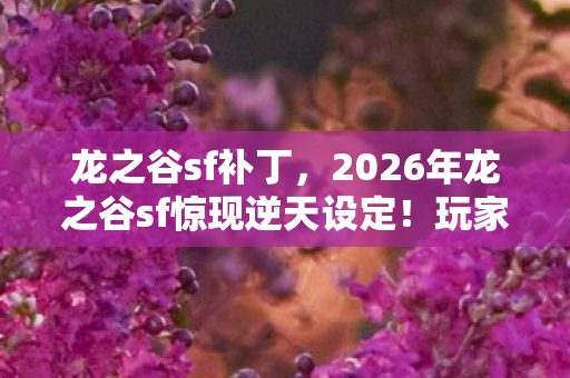 龙之谷sf补丁,2026年龙之谷sf惊现逆天设定!玩家狂喜背后藏着什么秘密? 龙之谷sf补丁,2026年龙之谷sf惊现逆天设定!玩家狂喜背后藏着什么秘密?