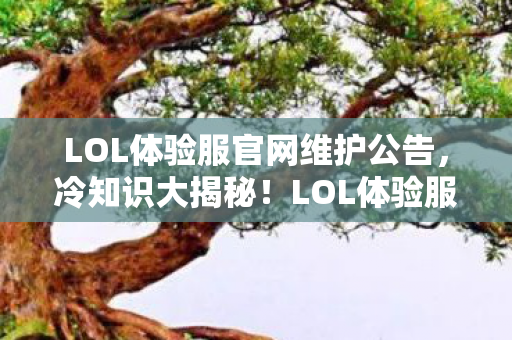 LOL体验服官网维护公告,冷知识大揭秘!LOL体验服颠覆设计,目瞪口呆的隐藏细节! LOL体验服官网维护公告,冷知识大揭秘!LOL体验服颠覆设计,目瞪口呆的隐藏细节!