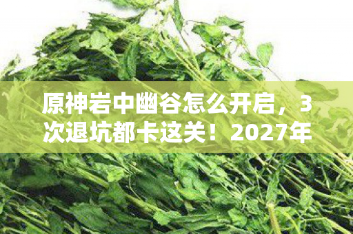 原神岩中幽谷怎么开启,3次退坑都卡这关!2027年我竟用1招解锁岩中幽谷? 原神岩中幽谷怎么开启,3次退坑都卡这关!2027年我竟用1招解锁岩中幽谷?