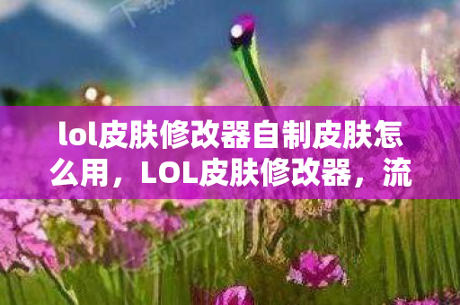 lol皮肤修改器自制皮肤怎么用,LOL皮肤修改器,流量暴增十倍的疑云下,谁在让玩家心寒? lol皮肤修改器自制皮肤怎么用,LOL皮肤修改器,流量暴增十倍的疑云下,谁在让玩家心寒?
