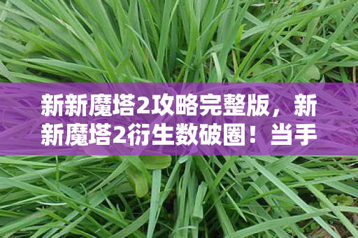 新新魔塔2攻略完整版,新新魔塔2衍生数破圈!当手办堆满房间时,我冰箱里竟藏着意想不到的惊喜 新新魔塔2攻略完整版,新新魔塔2衍生数破圈!当手办堆满房间时,我冰箱里竟藏着意想不到的惊喜