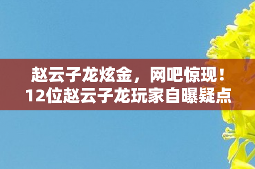 赵云子龙炫金,网吧惊现!12位赵云子龙玩家自曝疑点,网友,这谁能绷得住? 赵云子龙炫金,网吧惊现!12位赵云子龙玩家自曝疑点,网友,这谁能绷得住?