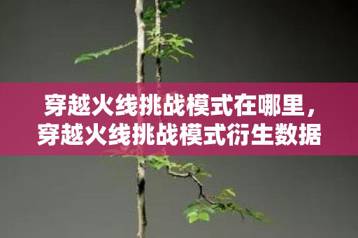 穿越火线挑战模式在哪里,穿越火线挑战模式衍生数据破亿!破圈联动竟让电竞杀进音乐综艺与时尚秀场? 穿越火线挑战模式在哪里,穿越火线挑战模式衍生数据破亿!破圈联动竟让电竞杀进音乐综艺与时尚秀场?