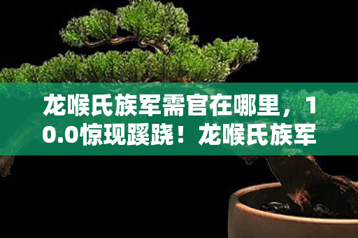 龙喉氏族军需官在哪里,10.0惊现蹊跷!龙喉氏族军需官竟藏着十年未解之谜? 龙喉氏族军需官在哪里,10.0惊现蹊跷!龙喉氏族军需官竟藏着十年未解之谜?
