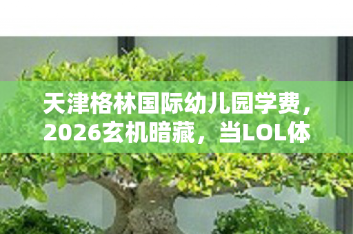 天津格林国际幼儿园学费，2026玄机暗藏，当LOL体验服转换器按下人生暂停键的沉默时刻