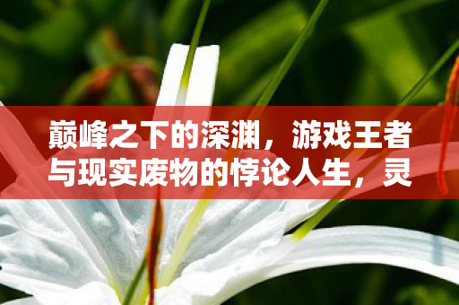 巅峰之下的深渊,游戏王者与现实废物的悖论人生,灵魂震颤的层级之痛 巅峰之下的深渊,游戏王者与现实废物的悖论人生,灵魂震颤的层级之痛