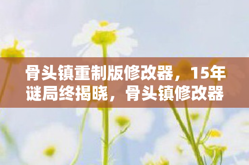 骨头镇重制版修改器,15年谜局终揭晓,骨头镇修改器背后的泪目真相 骨头镇重制版修改器,15年谜局终揭晓,骨头镇修改器背后的泪目真相