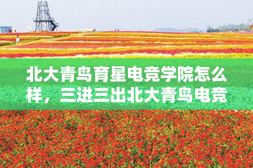 北大青鸟育星电竞学院怎么样,三进三出北大青鸟电竞学院,蹊跷内幕让我后背发凉! 北大青鸟育星电竞学院怎么样,三进三出北大青鸟电竞学院,蹊跷内幕让我后背发凉!