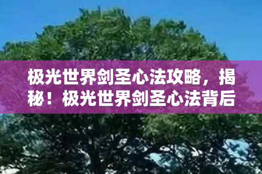 极光世界剑圣心法攻略,揭秘!极光世界剑圣心法背后,竟藏着3大颠覆认知的秘密? 极光世界剑圣心法攻略,揭秘!极光世界剑圣心法背后,竟藏着3大颠覆认知的秘密?
