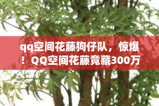 qq空间花藤狗仔队,惊爆!QQ空间花藤竟藏300万隐情,离职老兵拍桌,这操作真让人吓一跳! qq空间花藤狗仔队,惊爆!QQ空间花藤竟藏300万隐情,离职老兵拍桌,这操作真让人吓一跳!