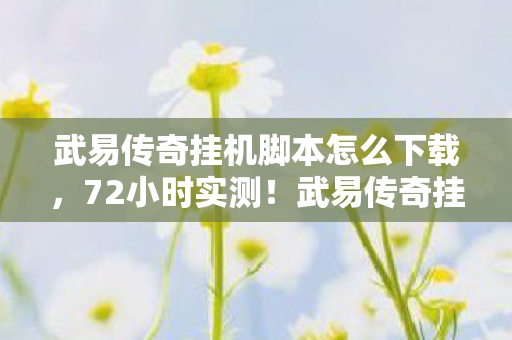 武易传奇挂机脚本怎么下载,72小时实测!武易传奇挂机脚本,是躺赢神器还是账号坟场? 武易传奇挂机脚本怎么下载,72小时实测!武易传奇挂机脚本,是躺赢神器还是账号坟场?