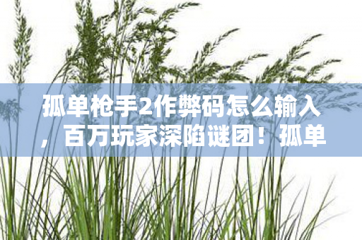 孤单枪手2作弊码怎么输入,百万玩家深陷谜团!孤单枪手2作弊风波竟让全服破防? 孤单枪手2作弊码怎么输入,百万玩家深陷谜团!孤单枪手2作弊风波竟让全服破防?