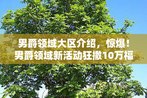 男爵领域大区介绍,惊爆!男爵领域新活动狂撒10万福利,谁能笑到最后? 男爵领域大区介绍,惊爆!男爵领域新活动狂撒10万福利,谁能笑到最后?