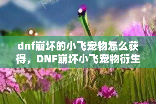 dnf崩坏的小飞宠物怎么获得,DNF崩坏小飞宠物衍生数破亿!破圈联动音乐综艺时尚圈,意想不到! dnf崩坏的小飞宠物怎么获得,DNF崩坏小飞宠物衍生数破亿!破圈联动音乐综艺时尚圈,意想不到!