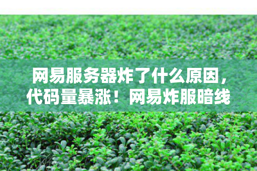 网易服务器炸了什么原因，代码量暴涨！网易炸服暗线揭秘，头皮发麻的帮派指挥官竟是现实社恐