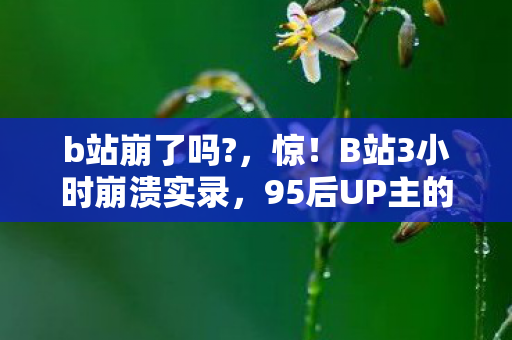 b站崩了吗?,惊!B站3小时崩溃实录,95后UP主的崩溃与狂欢全体验! b站崩了吗?,惊!B站3小时崩溃实录,95后UP主的崩溃与狂欢全体验!
