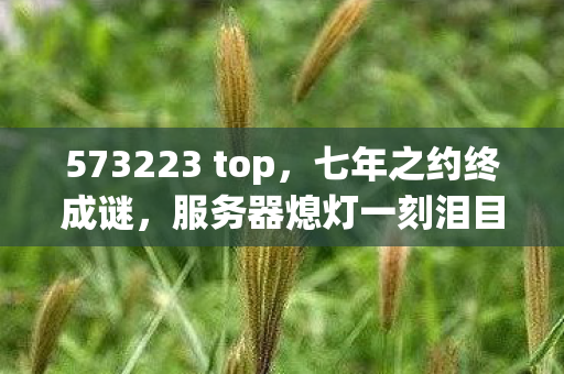 573223 top，七年之约终成谜，服务器熄灯一刻泪目成永恒
