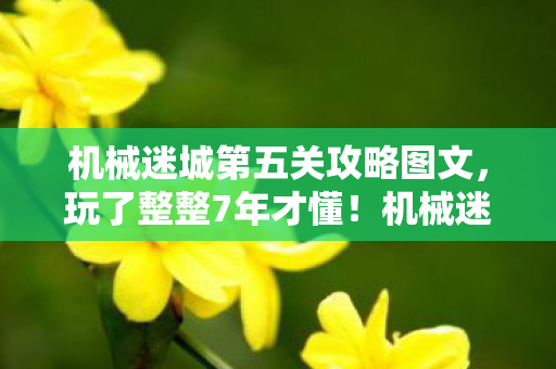 机械迷城第五关攻略图文，玩了整整7年才懂！机械迷城第5关3种解法，选错直接卡关？