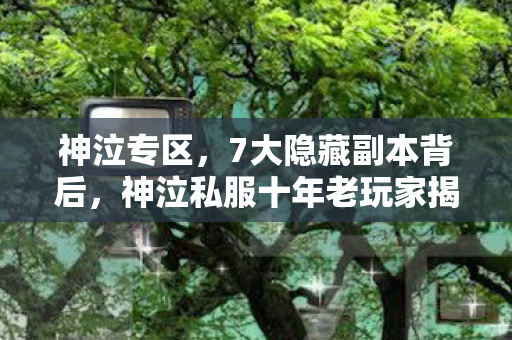 神泣专区,7大隐藏副本背后,神泣私服十年老玩家揭开惊天秘密! 神泣专区,7大隐藏副本背后,神泣私服十年老玩家揭开惊天秘密!