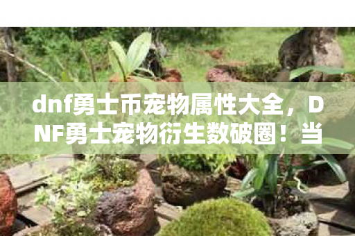 dnf勇士币宠物属性大全,DNF勇士宠物衍生数破圈!当108只迷你赛丽亚占领我的生活 dnf勇士币宠物属性大全,DNF勇士宠物衍生数破圈!当108只迷你赛丽亚占领我的生活