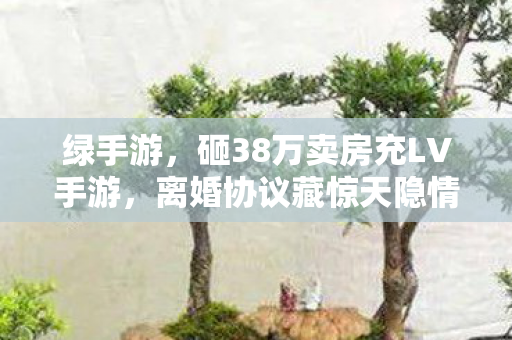 绿手游,砸38万卖房充LV手游,离婚协议藏惊天隐情,看完吓一跳! 绿手游,砸38万卖房充LV手游,离婚协议藏惊天隐情,看完吓一跳!