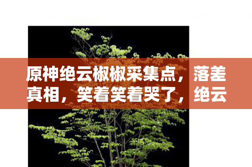 原神绝云椒椒采集点，落差真相，笑着笑着哭了，绝云椒椒采集点竟成玩家受难地！
